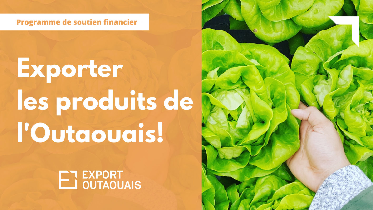 Soutien financier_bioalimentaire